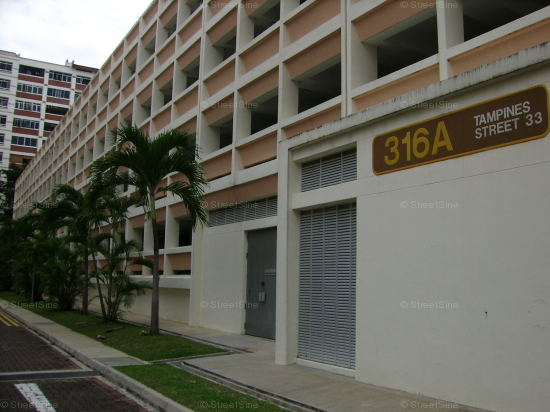 Blk 316A Tampines Street 33 (S)521316 #92842